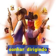 sonhar dirigindo carro jogo do bicho